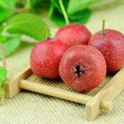 孕妇可以食用山楂吗,怀孕期可以吃山楂吗?