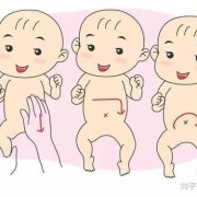 刚到6个月的宝宝为什么喜欢拱屁屁,胎儿拱肚子是在干什么