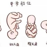 胎儿颜面看不清的图片（胎儿颜面看不清的图片大全）
