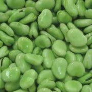 孕期能吃蚕豆吗（怀孕期能吃蚕豆吗）