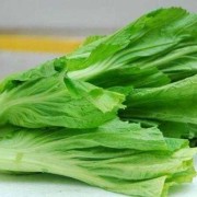 怀孕了可以吃芥菜吗,孕妇吃芥菜对胎儿有影响吗
