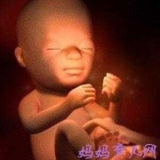 26周宝宝在肚子里是什么样子,胎儿26周发育指标