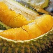 胎儿偏小可以吃榴莲吗（胎儿偏小可以吃榴莲吗孕妇）