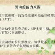 胎儿耐受力（胎儿耐受力差什么意思）