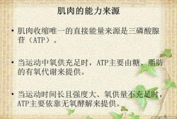 胎儿耐受力（胎儿耐受力差什么意思）