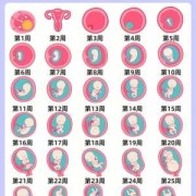 9周岁女童发育标准,九个月胎儿发育迟缓怎么办