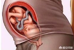 胎儿动是什么感觉（怀孕35周宝宝有时候动有时候不动正常吗）