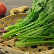 怀孕期间可以吃菠菜吗（怀孕期间可以吃菠菜吗?）