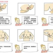 孕期乳房变化过程具体是怎样的？快四个月了，怎样护理好乳房哪,孕期乳腺变化有哪些