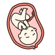 胎儿总是趴着（胎儿总是趴着怎么回事）