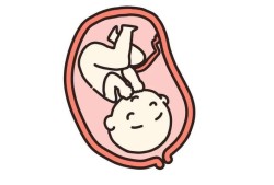 胎儿总是趴着（胎儿总是趴着怎么回事）