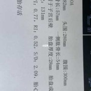 胎儿腿短怎么补（孩子腿短身子长怎么办）