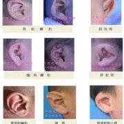 宝宝多大可以看灯光,胎儿什么时候发育眼睛和耳朵