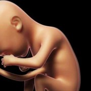 38周胎儿胎动频繁（怀孕38周胎动突然频繁是什么原因？这是怎么了）