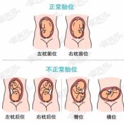 胎儿胎心位置（38周宝宝胎心在哪里）