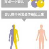 胎儿嵌合体（嵌合体是什么）