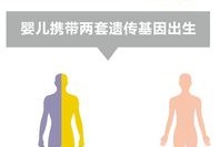 胎儿嵌合体（嵌合体是什么）
