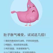 孕期肠胃不好怎么办（孕期肠胃不好怎么办?胃腹部胀气怎么办）