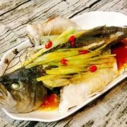 孕期喝什么（鲈鱼，鲫鱼，桂花鱼，哪个更适合孕妇吃，可以每天都吃吗）