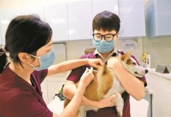 怀孕期间打了狂犬疫苗（2个月孕妇注射狂犬疫苗对胎儿有没有影响）