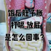 孕期屁多是什么原因（孕妇为啥老放屁怎么吃东西调理合适呢）