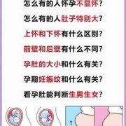 孕期前壁（着床于前壁及后壁啥意思）