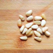 孕期能吃松子吗（怀孕两个月吃松子里面有植物油和柠檬酸能吃吗？谢谢）