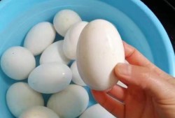 孕期吃鹅蛋好吗（孕期吃鹅蛋好吗有营养吗）