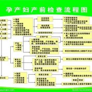 整个孕期的产检流程图（整个孕期的产检流程图片）