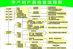 整个孕期的产检流程图（整个孕期的产检流程图片）