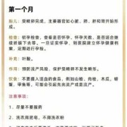 孕期前三个月（孕期前三个月要注意哪些事项）