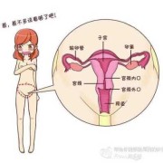 阴道炎会影响胎儿吗（妇科炎症影响胎儿发育吗）