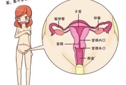 阴道炎会影响胎儿吗（妇科炎症影响胎儿发育吗）