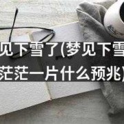 孕期梦见下雪（孕期梦见下雪有什么预兆）