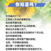 孕期喝酒对胎儿的影响（孕期喝酒对胎儿的影响）
