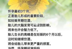 孕期喝酒对胎儿的影响（孕期喝酒对胎儿的影响）