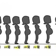 孕期肚子变化图（孕妇吃饱后肚子硬怎么回事的啊？不知道这个是不是属于正常的啊）