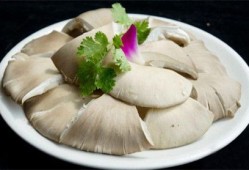 怀孕初期能吃平菇吗,孕妇吃平菇对胎儿好吗有影响吗
