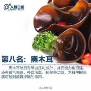 怀孕5个月可以吃汉堡吗？这样对胎儿真的好吗,孕五个月吃什么对胎儿好营养跟得上
