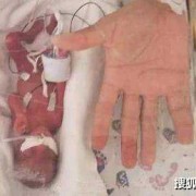 23周胎儿有多大了（亲们，胎儿23周心脏发育好了吗）