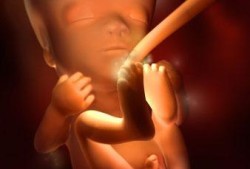 8个月胎宝宝不爱动了怎么回事啊？胎儿在肚子里不爱动,怀孕八个月真实胎儿图 男宝