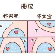 胎心在右边胎儿姿势图（胎心看男女太准了）