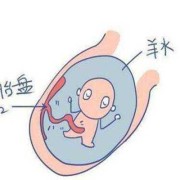 胎儿没膀胱（胎儿没膀胱会有羊水吗）