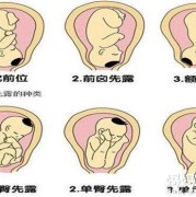 为什么胎儿喜欢臀位呢（37周宝宝在肚子里的姿势）
