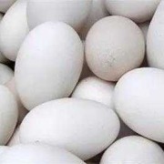 孕妇能吃鹅蛋吗,怀孕期间能吃鹅蛋吗?