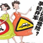 孕妇可以长时间开车吗？孕妇开车有什么危害,怀孕期的图片