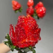 孕婦能吃玫瑰糖嗎，就是用玫瑰做的紅糖,孕期能吃糖葫芦吗