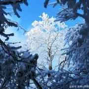 大雪的寓意和象征,孕期梦到下雪是什么意思
