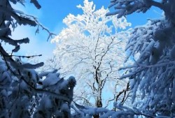大雪的寓意和象征,孕期梦到下雪是什么意思