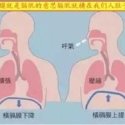 孕32周宝宝打嗝频繁怎么回事,胎儿横膈肌应该什么位置